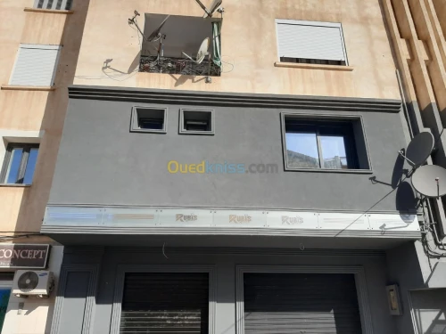 AQUAPANEL / PLACOPLATRE/ PEINTURE 