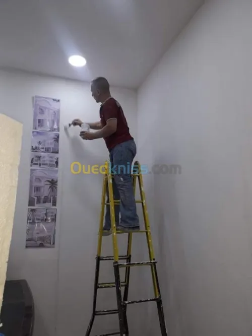 AQUAPANEL / PLACOPLATRE/ PEINTURE 