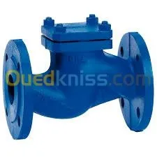 clapet a vapeure a brides