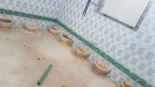 installation chaudière et génératrice et plomberie 