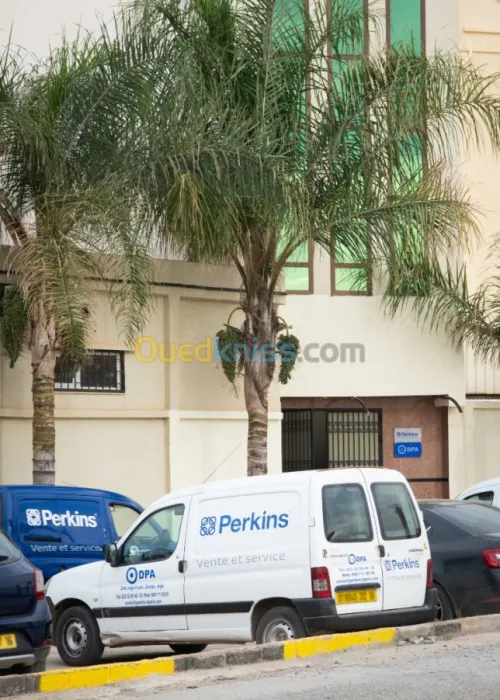 Perkins Diagnostique & maintenance 