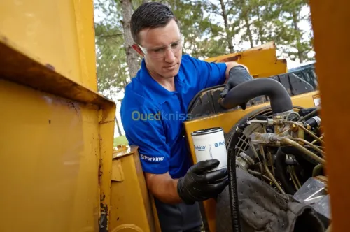 Perkins Diagnostique & maintenance 