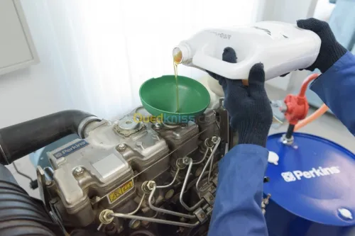 Perkins Diagnostique & maintenance 