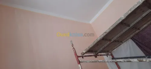 Placoplatre & peinture 