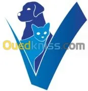 Médecin chirurgien vétérinaire 