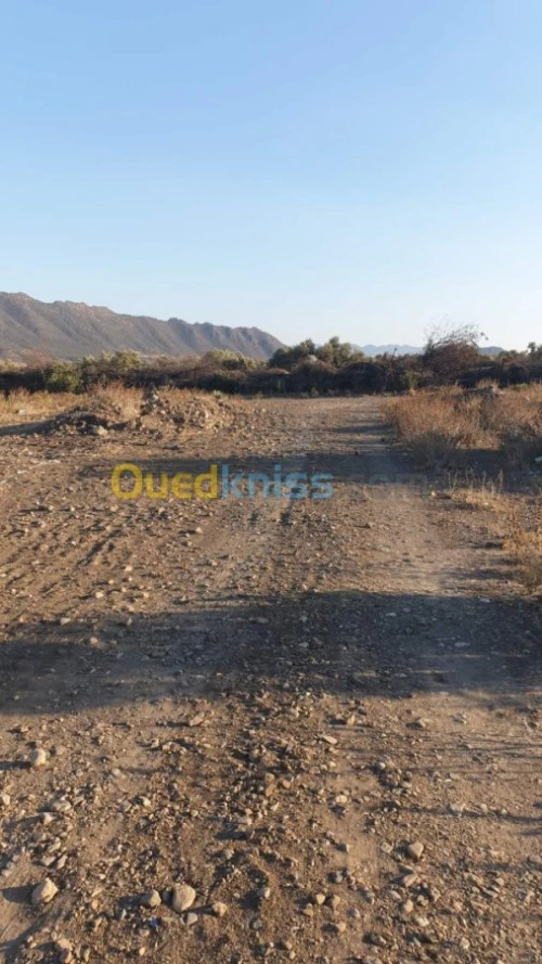 Vente Terrain Bejaia Akbou