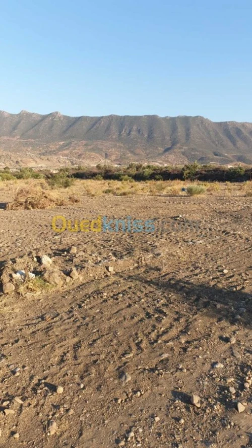Vente Terrain Bejaia Akbou