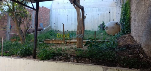Vente Villa Alger Bouzareah