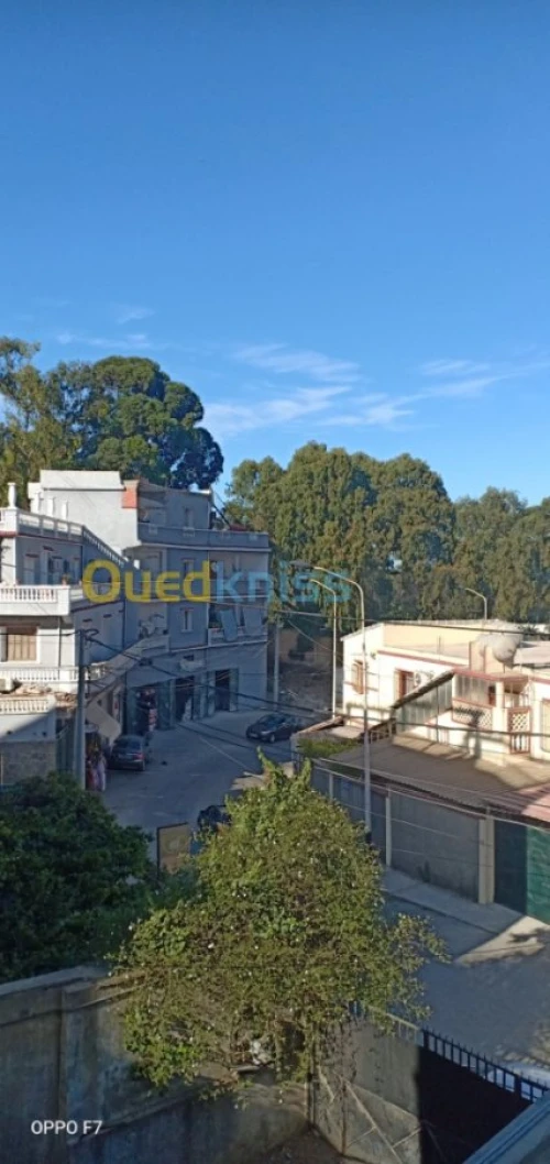 Vente Villa Alger Bouzareah