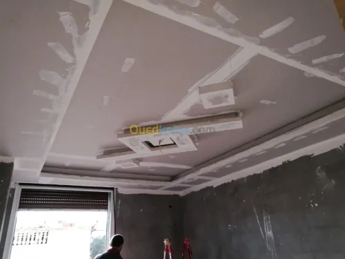 Placo plâtre. Pvc. Déméntable