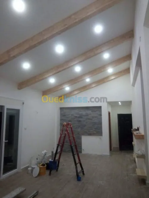 Placo plâtre. Pvc. Déméntable