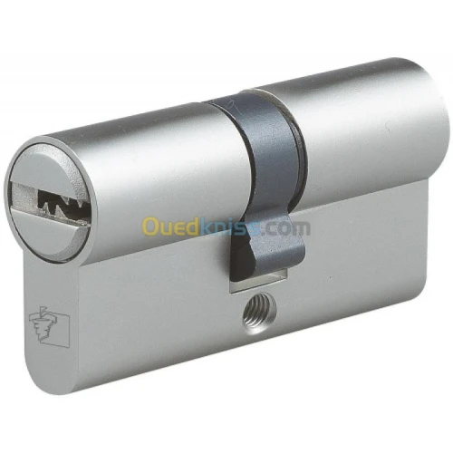 Cylindre Canon Barillet pour serrures