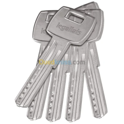 Cylindre Canon Barillet pour serrures