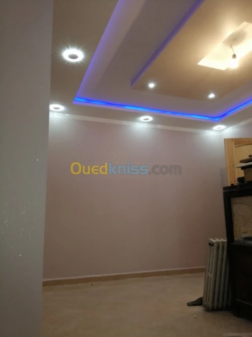 peinture  professionel et artistic