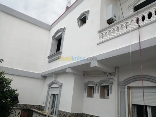 peinture  professionel et artistic
