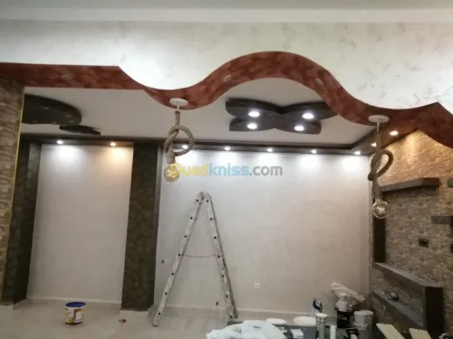 peinture  professionel et artistic