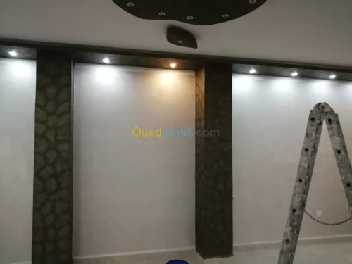 peinture  professionel et artistic
