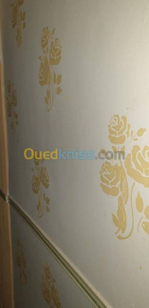 Travaux de peinture et décoration 