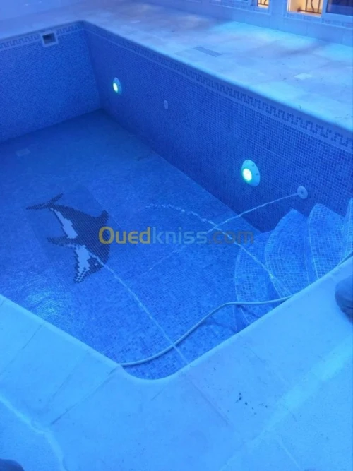 Réalisation et construction  piscine 