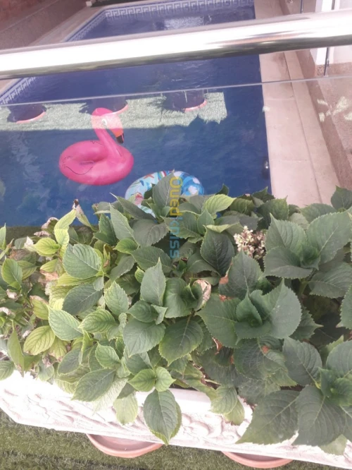 Réalisation et construction  piscine 