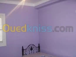 Peintre a domicile