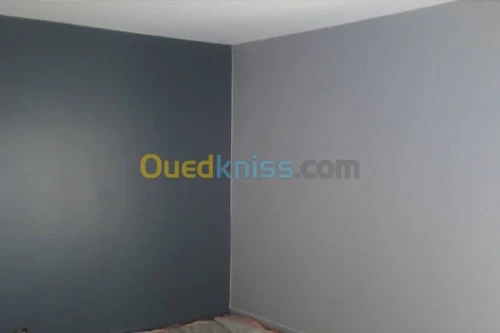 Peintre a domicile