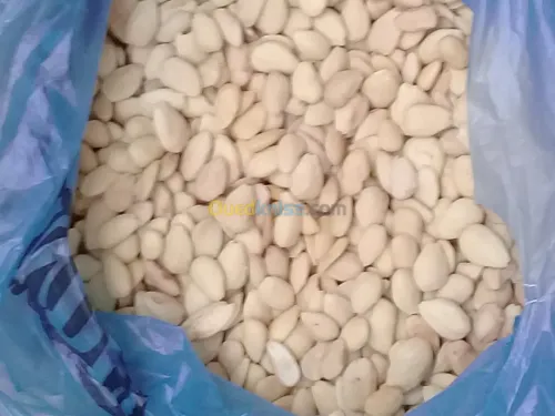 لوز أبيض تونس amande blanc Tunisie 