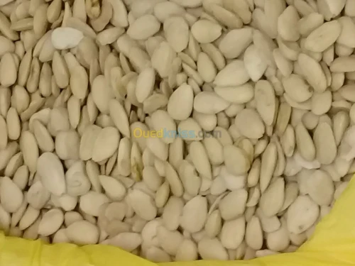 لوز أبيض تونس amande blanc Tunisie 