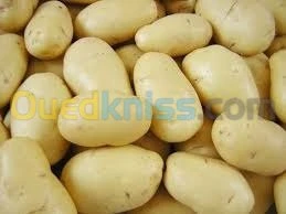 توزيع الخضر و الفواكه على المطاعم 