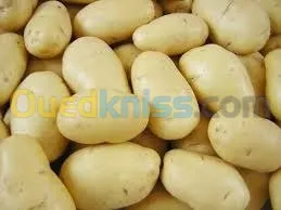 توزيع الخضر و الفواكه على المطاعم