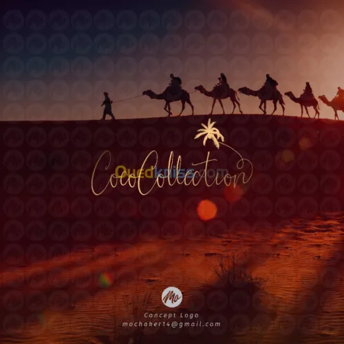 Conception Logo avec Charte graphique 