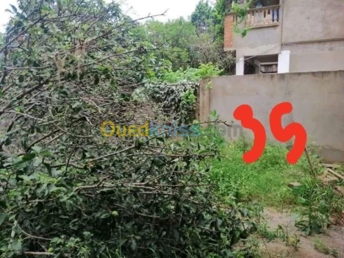 Vente Villa Boumerdes Khemis el khechna