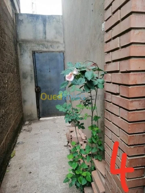 Vente Villa Boumerdes Khemis el khechna