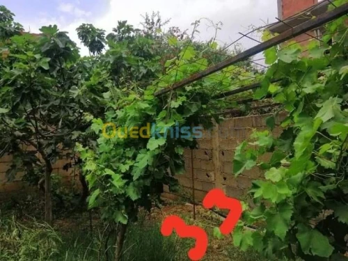 Vente Villa Boumerdes Khemis el khechna