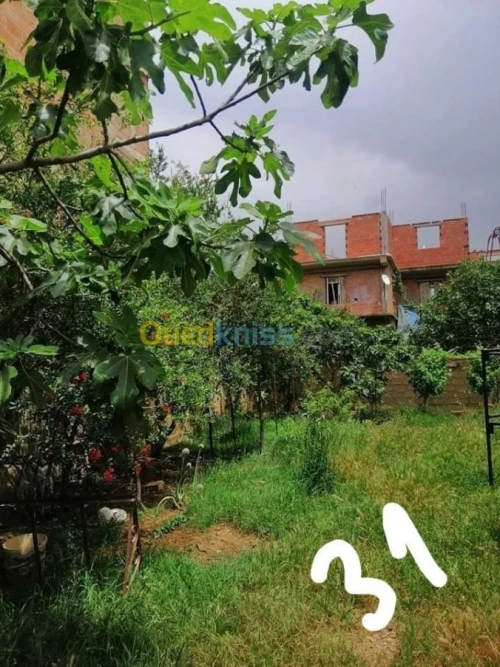 Vente Villa Boumerdes Khemis el khechna