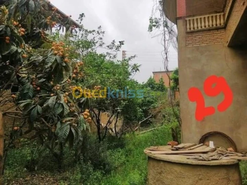Vente Villa Boumerdes Khemis el khechna
