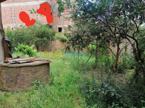 Vente Villa Boumerdes Khemis el khechna