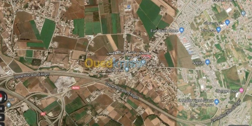 Vente Terrain Boumerdes Khemis el khechna
