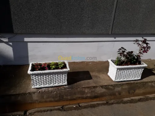 Vente Appartement F4 Alger Dely brahim