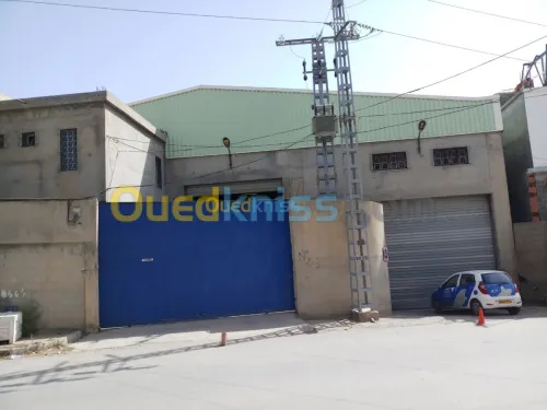 Location Hangar Setif Setif