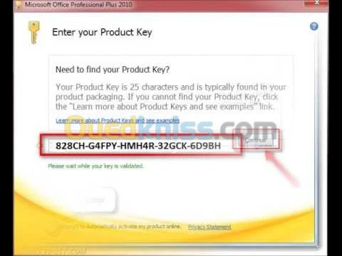 Microsoft Office 2010 Pro Plus VL