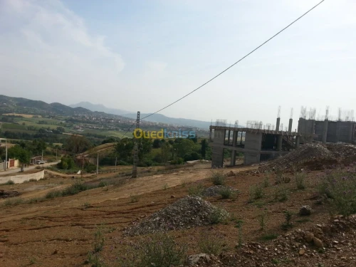 Vente Terrain Boumerdes Tidjelabine