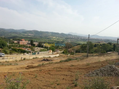 Vente Terrain Boumerdes Tidjelabine
