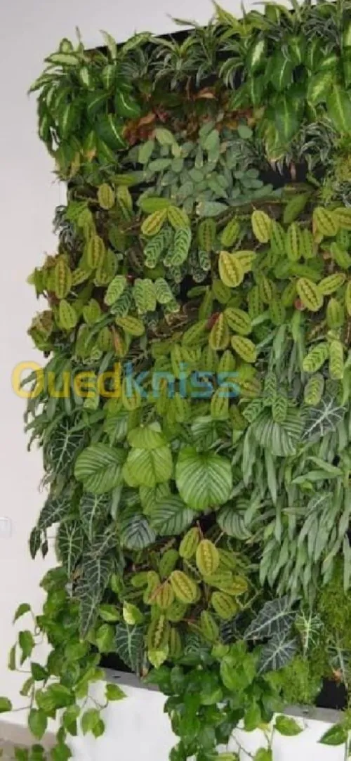 amenagement des espaces verts