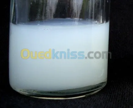 COLLES INDUSTRIELLES