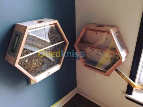 tindas et decoration