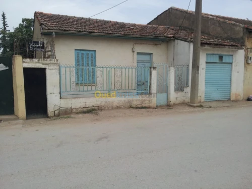 Vente Villa Skikda Azzaba