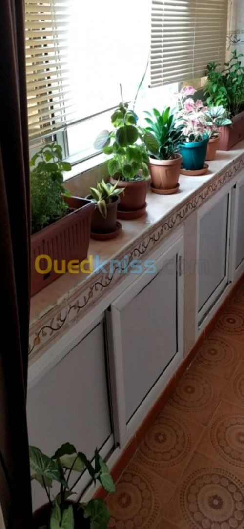 Vente Appartement F4 Skikda Skikda