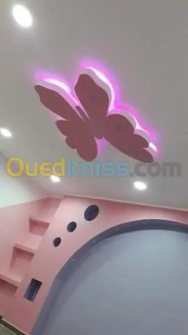 Placo plâtre BA13 et peinture