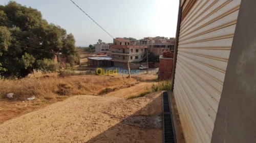 Vente Terrain Alger Douera
